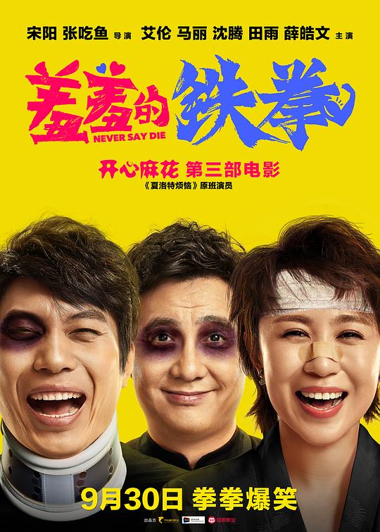 羞羞的铁拳 海报